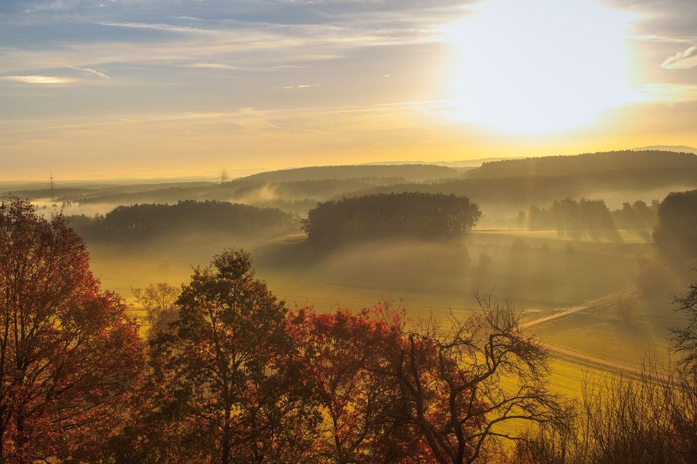 Blick in die Natur bei Sonnenaufgang mit toller Beleuchtung